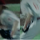 Illustration for article titled Breaking Down The Craziest Half-Inning In Television History